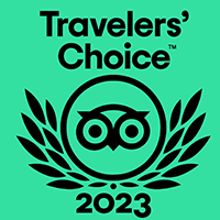 tripadvisor michael travel